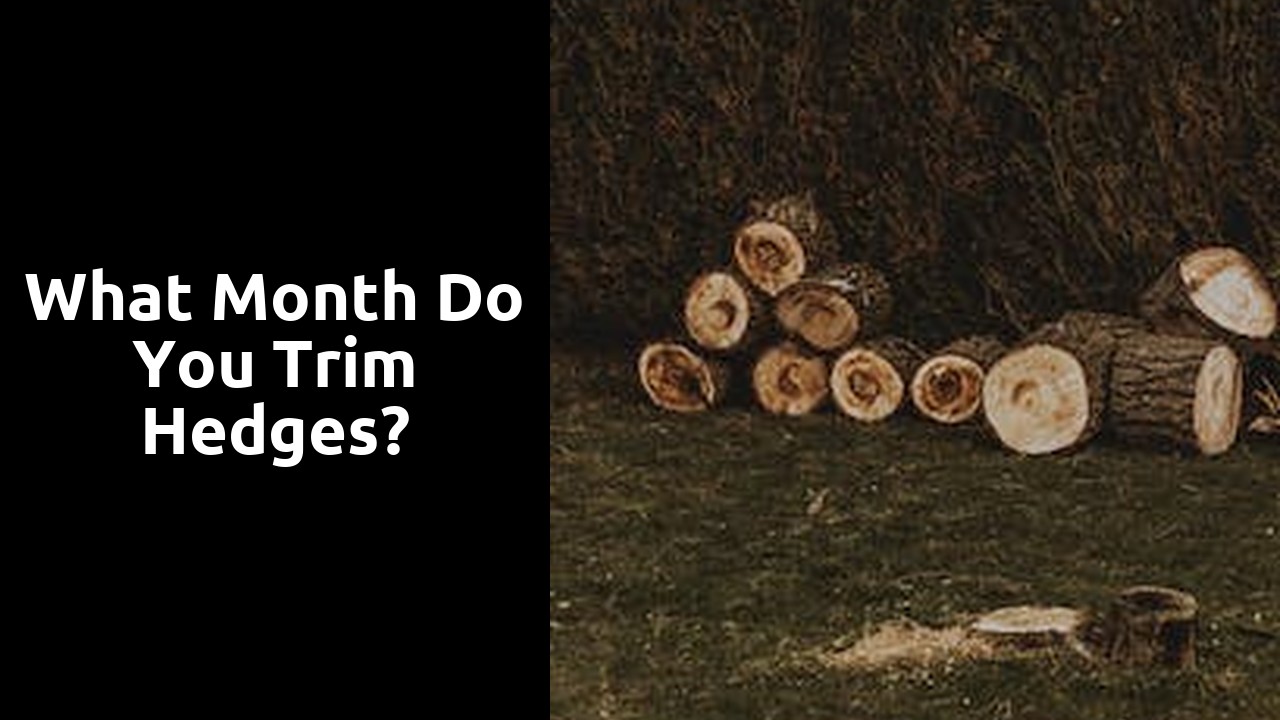 What month do you trim hedges?