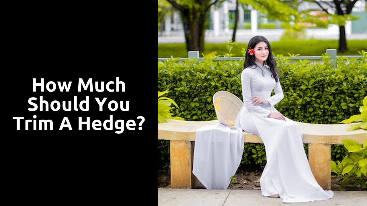 How much should you trim a hedge?