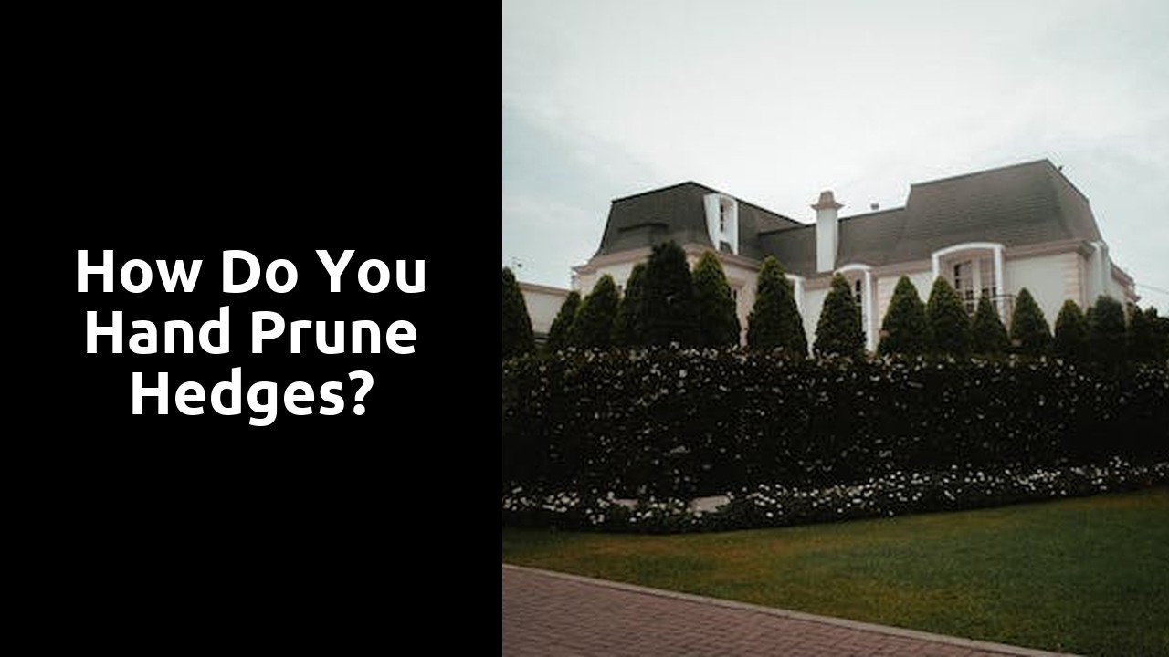 How do you hand prune hedges?