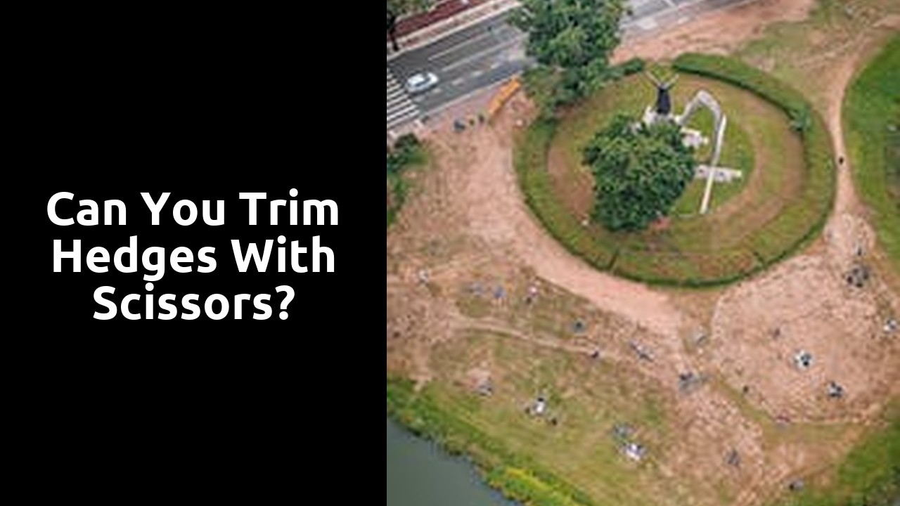 Can you trim hedges with scissors?