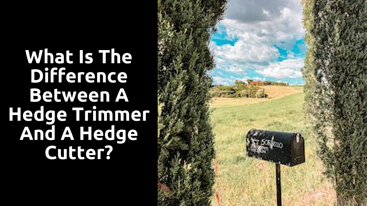 What is the difference between a hedge trimmer and a hedge cutter?