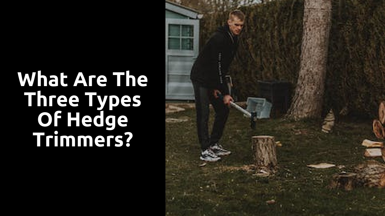 What are the three types of hedge trimmers?
