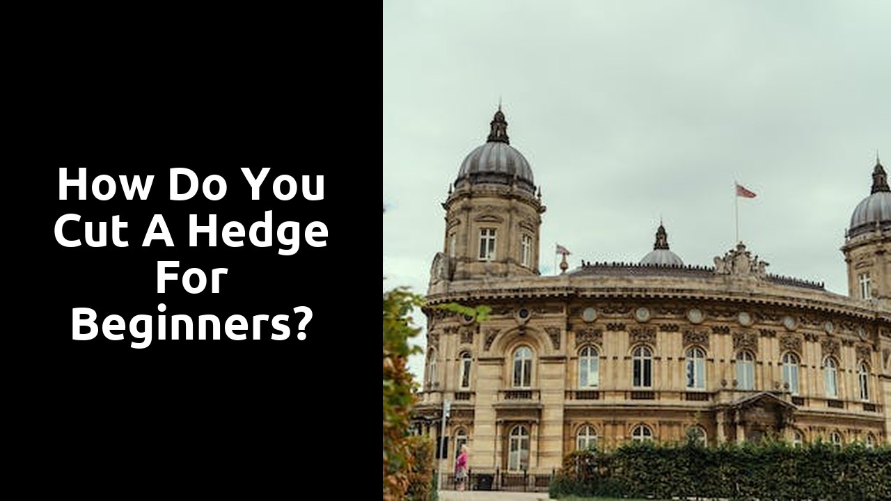 How do you cut a hedge for beginners?
