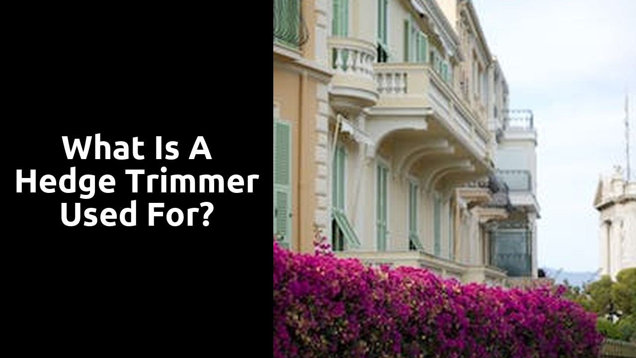 What is a hedge trimmer used for?