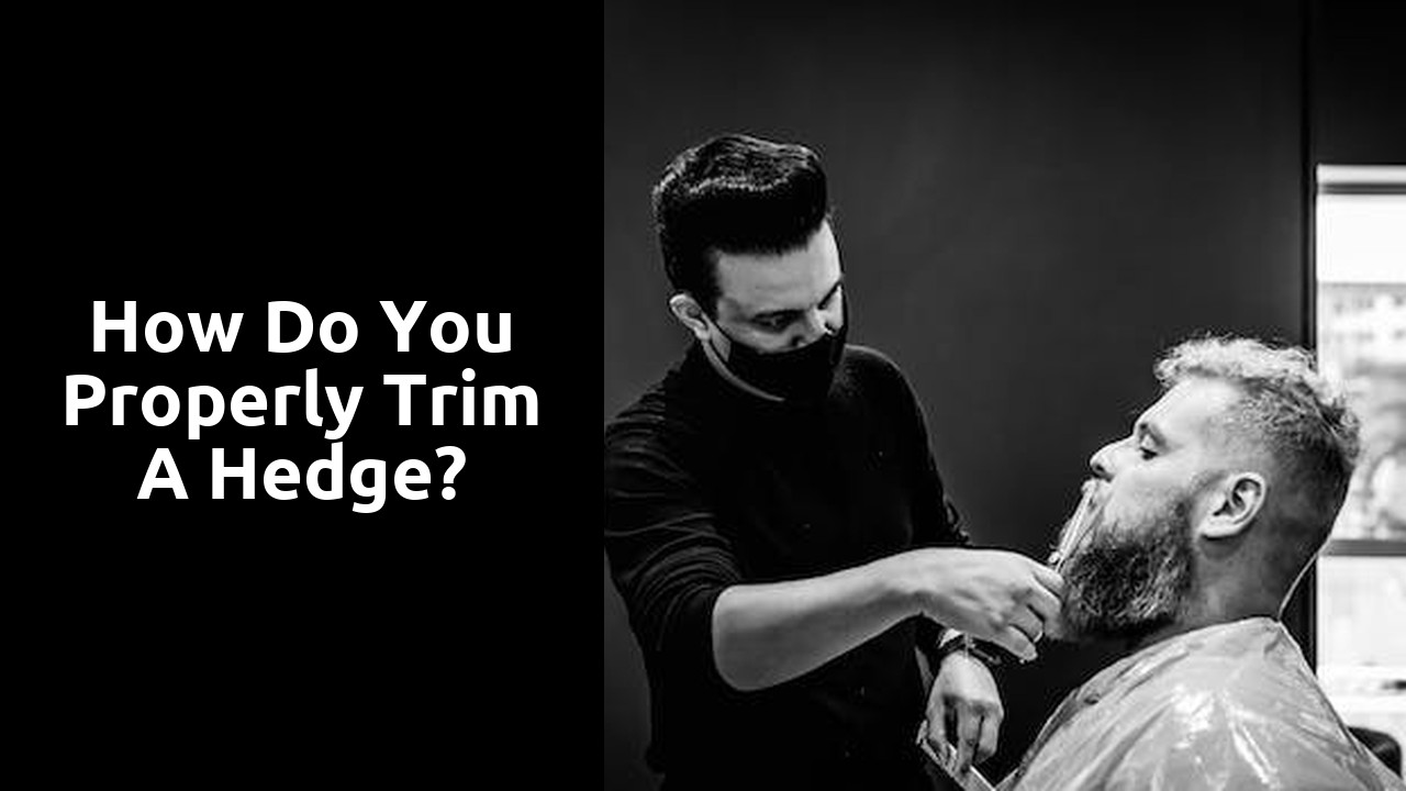 How do you properly trim a hedge?
