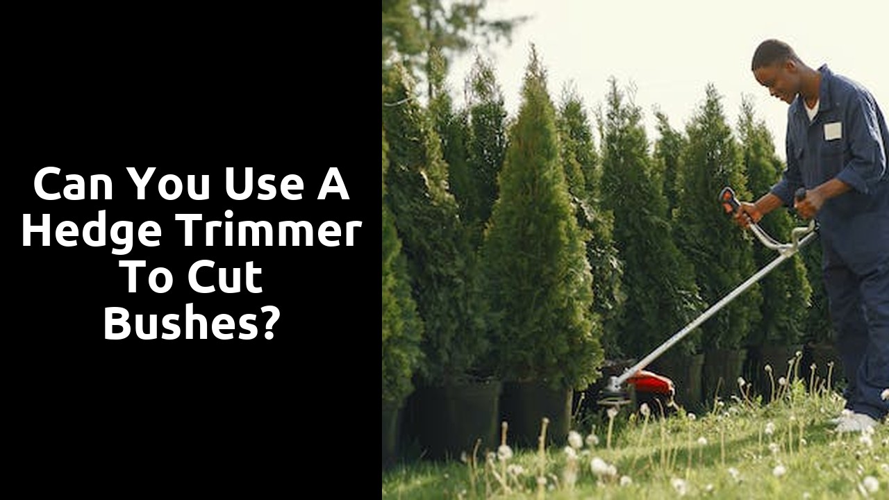 Can you use a hedge trimmer to cut bushes?