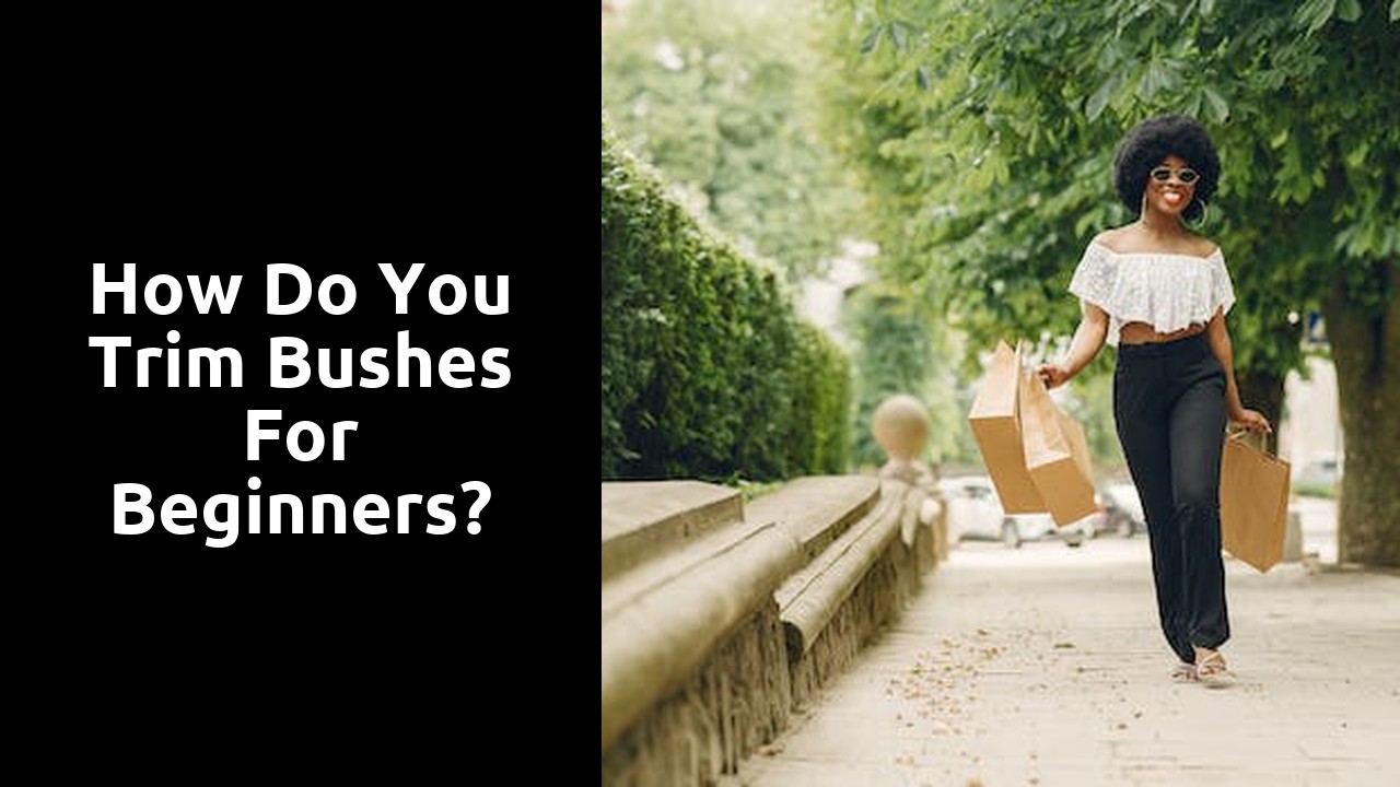 How do you trim bushes for beginners?