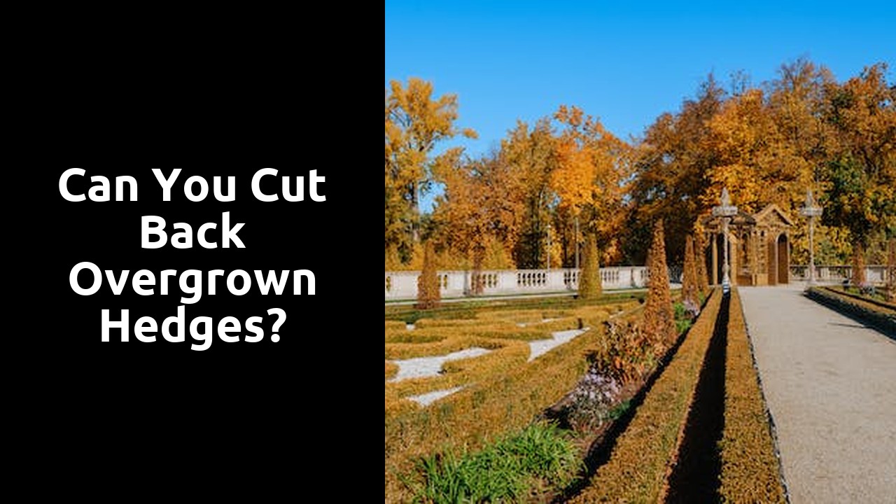 Can you cut back overgrown hedges?