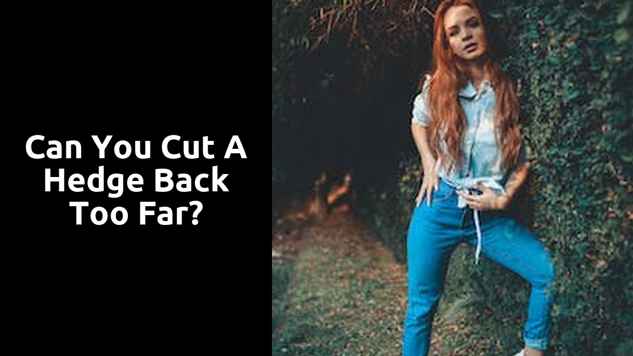 Can you cut a hedge back too far?