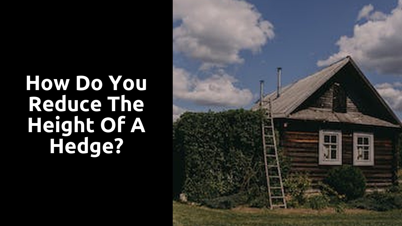 How do you reduce the height of a hedge?