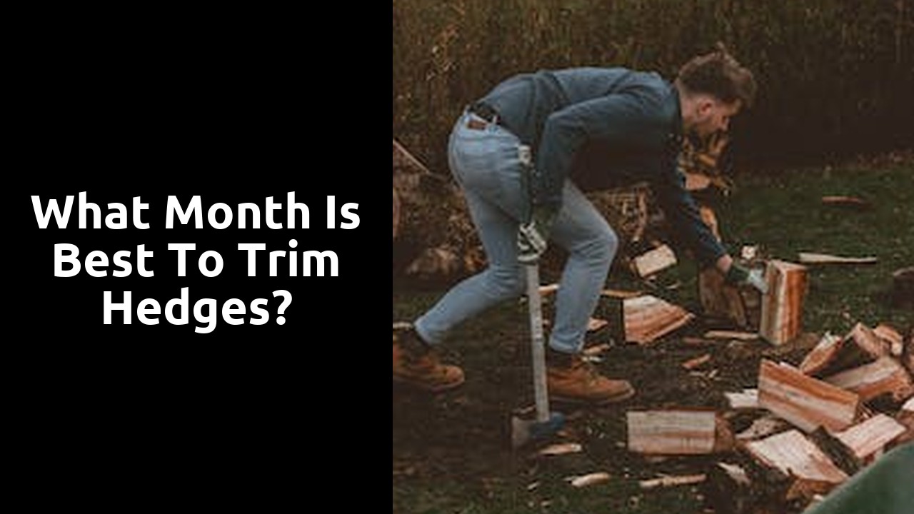 What month is best to trim hedges?